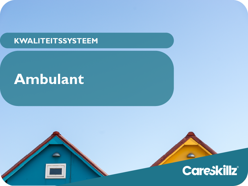 consultancy, kwaliteitssystemen en audits