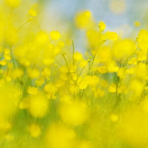 Workshop creatieve natuurfotografie 202405