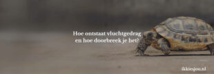 vluchtgedrag