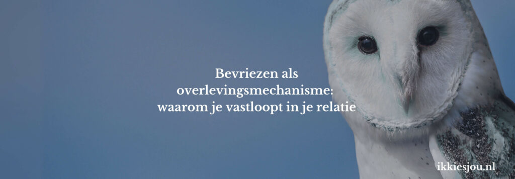 bevriezen-relatie