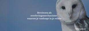 bevriezen-relatie