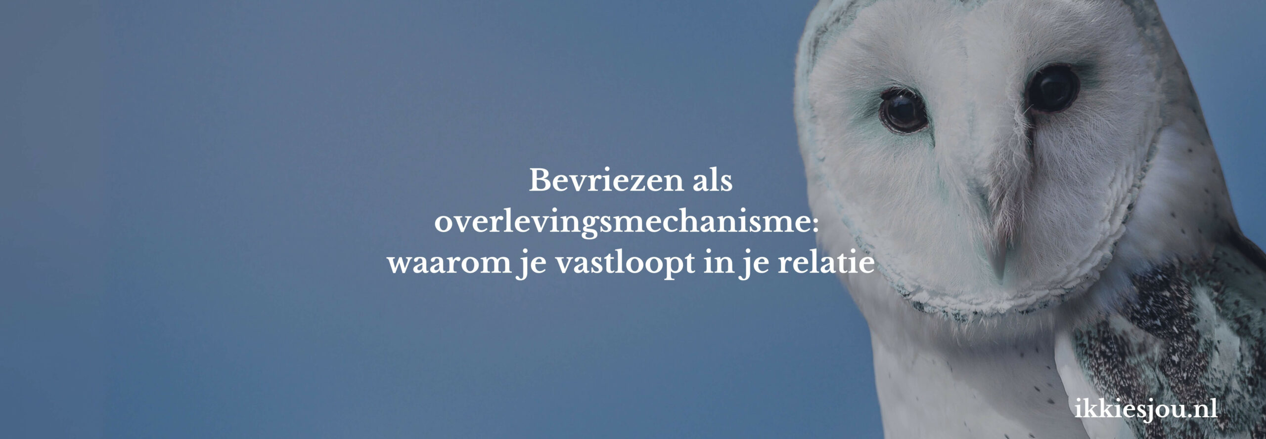 bevriezen-relatie