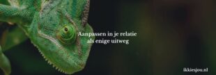 aanpassen-relatie