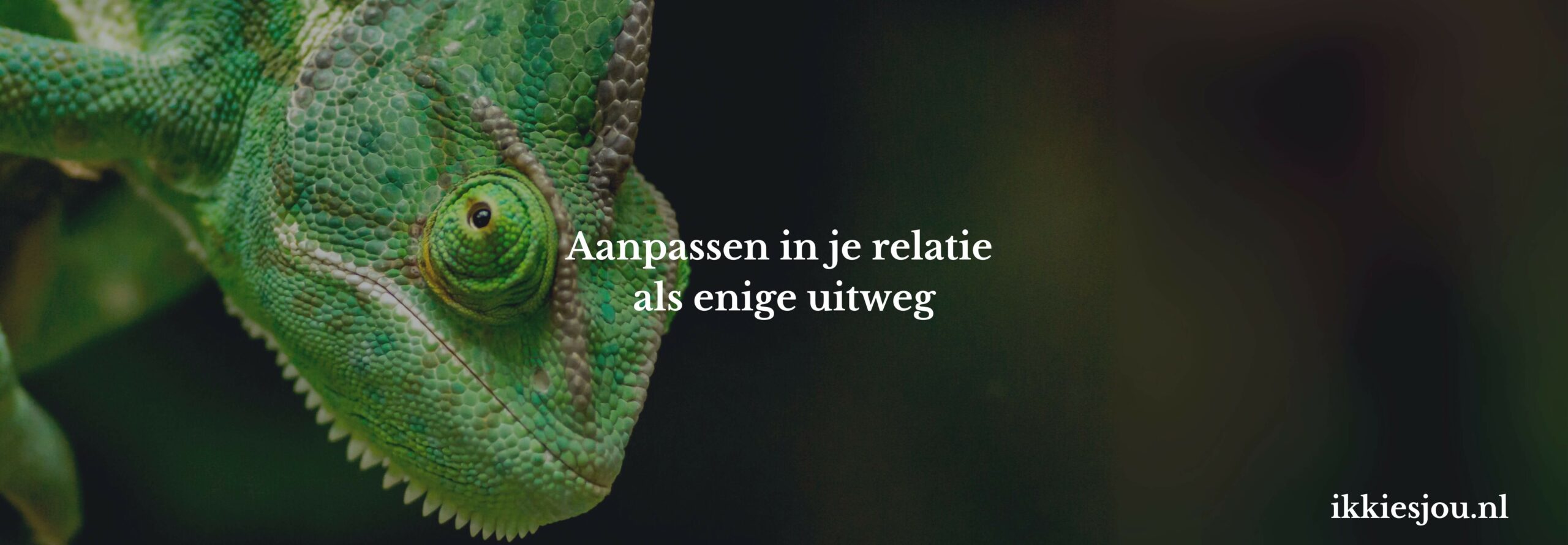 aanpassen-relatie