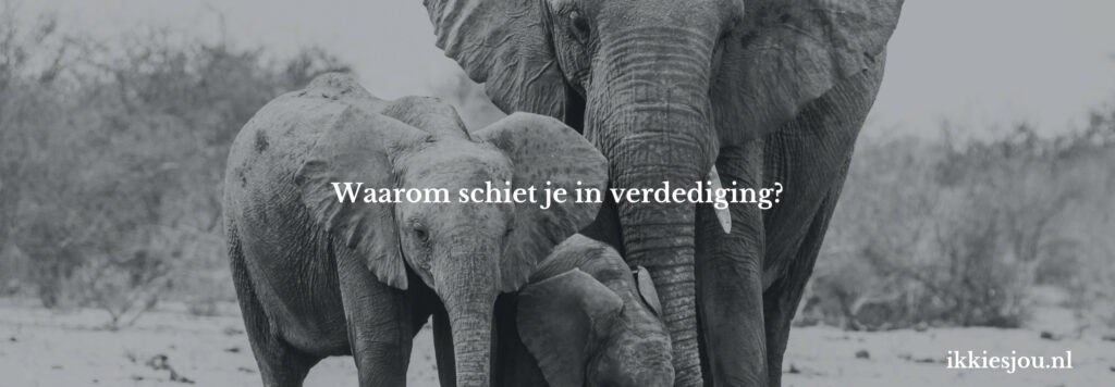 schiet-in-de-verdediging