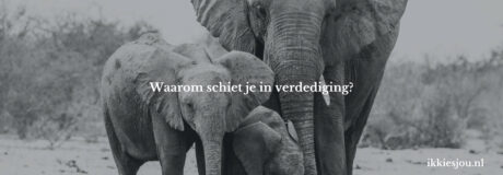 schiet-in-de-verdediging