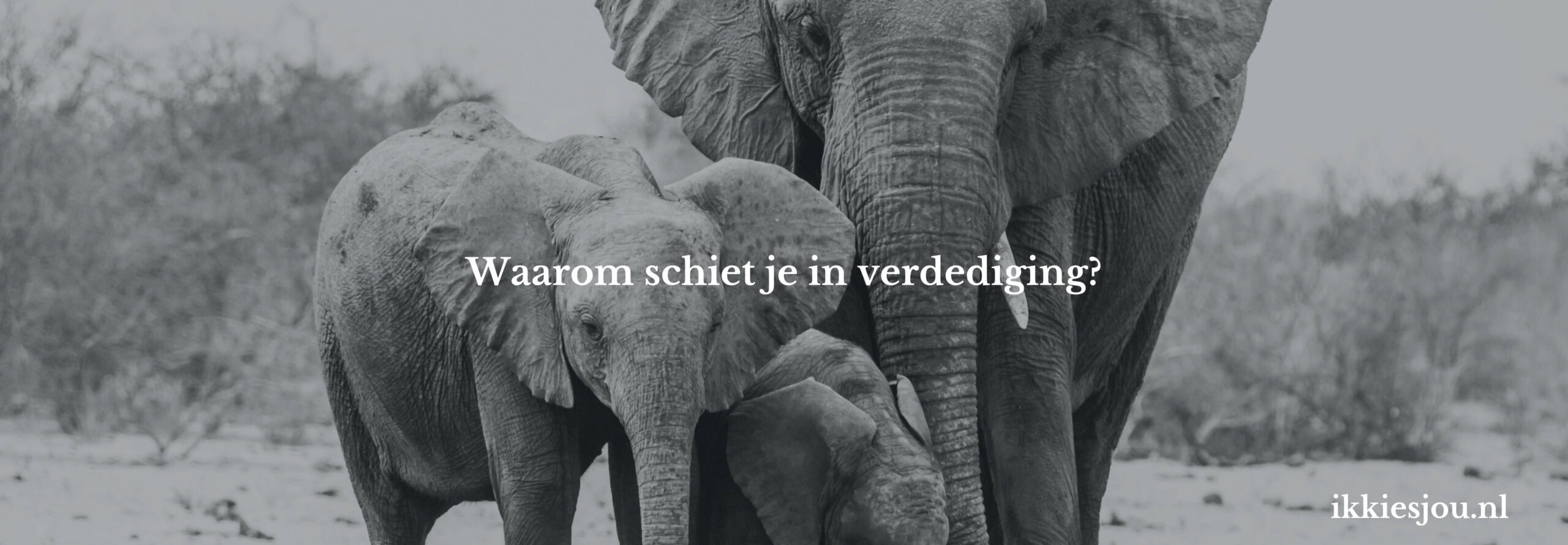 schiet-in-de-verdediging