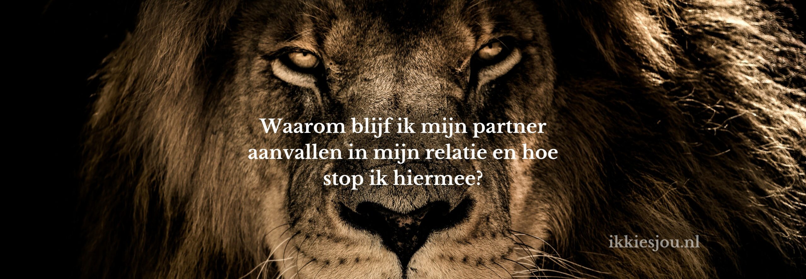 aanvallen-relatie