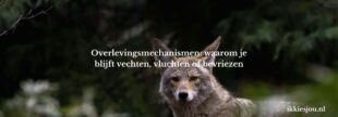 overlevingsmechanisme