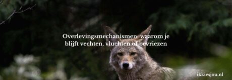 overlevingsmechanisme