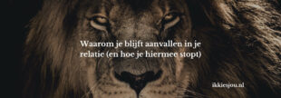 aanvallen-relatie