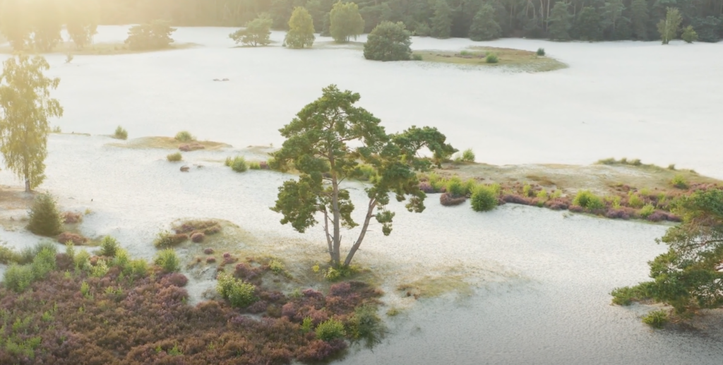 utrecht-relatietherapie