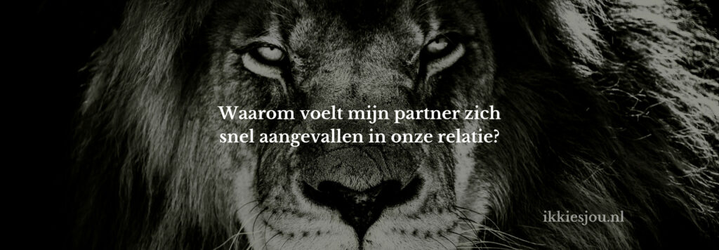 partner-ziet-alles-aanval