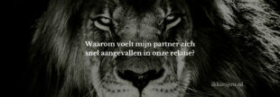 partner-ziet-alles-aanval