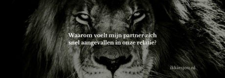 partner-ziet-alles-aanval
