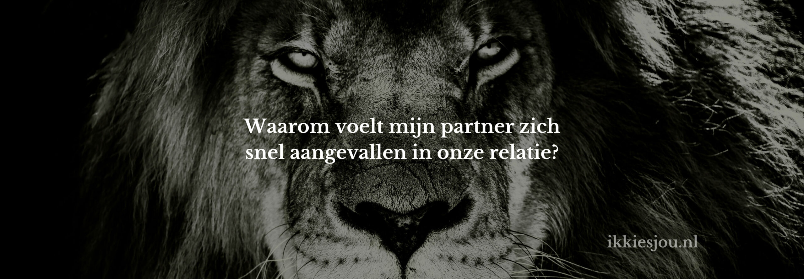 partner-ziet-alles-aanval