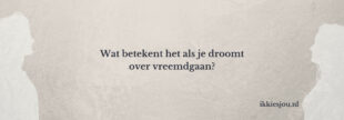 vreemdgaan-in-droom