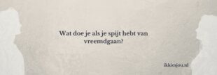 vreemdgegaan-wat-nu