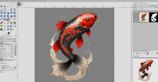 afbeelding vrijmaken van achtergrond