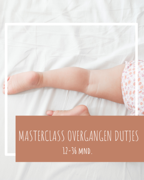 Masterclass overgang van 2 naar 1 en van 1 naar geen dutje