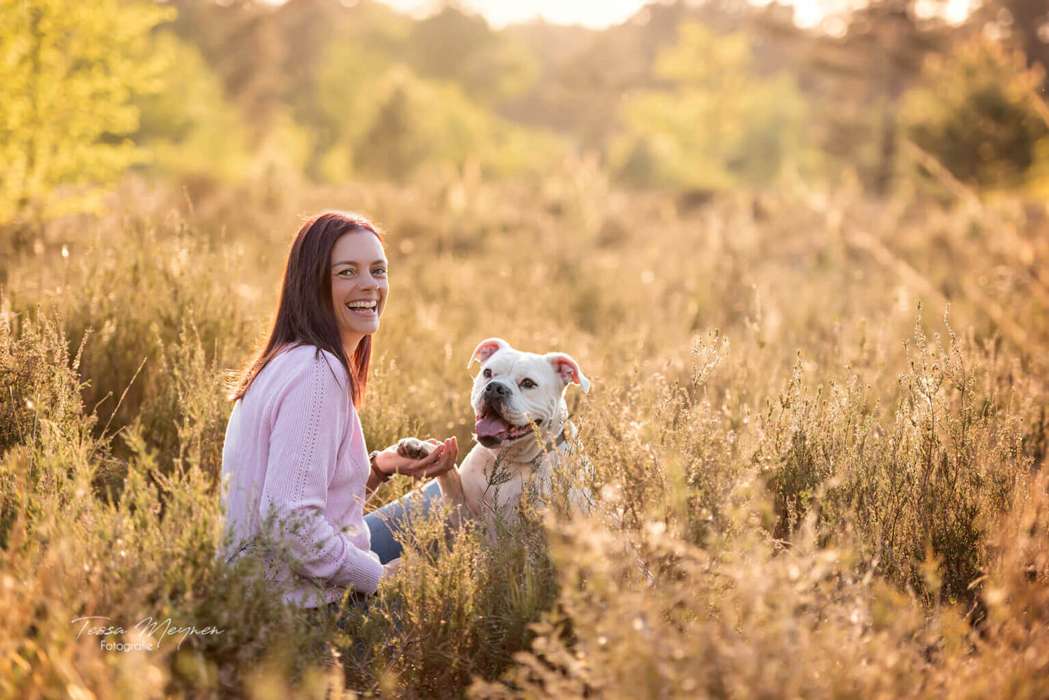 De waarheid over hondenvoeding