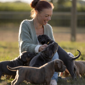 PUPPYTRAJECT: van pup naar droomhond