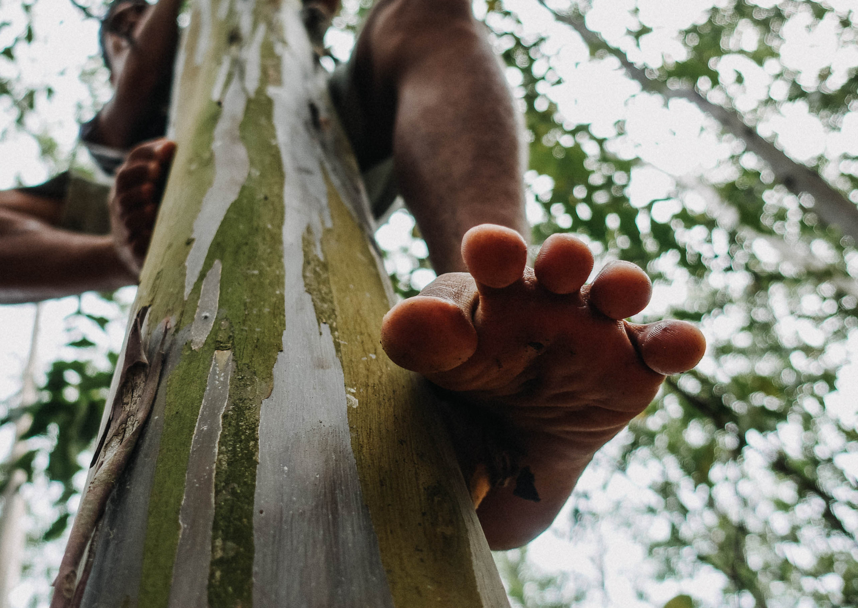 De kracht van intrinsieke voetspieren