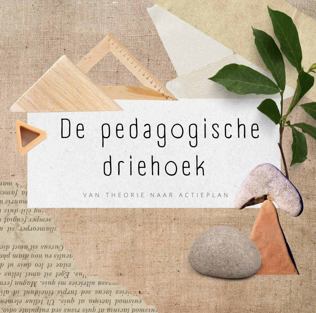 pedagogische driehoek cursus kinderopvang