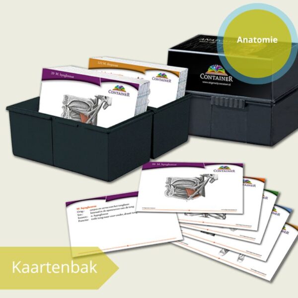 Anatomie kaartenbak
