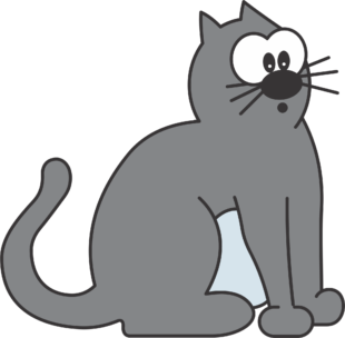 kattengedragstherapeut 10