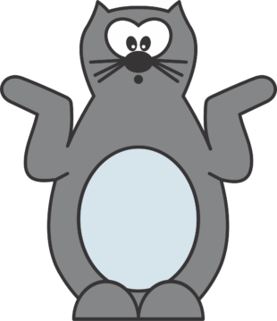 kattengedragstherapeut 11