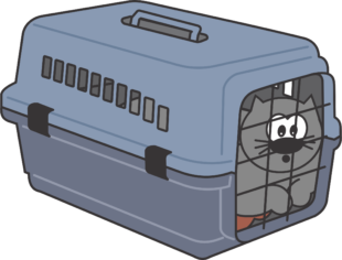 Gedragstherapie voor katten