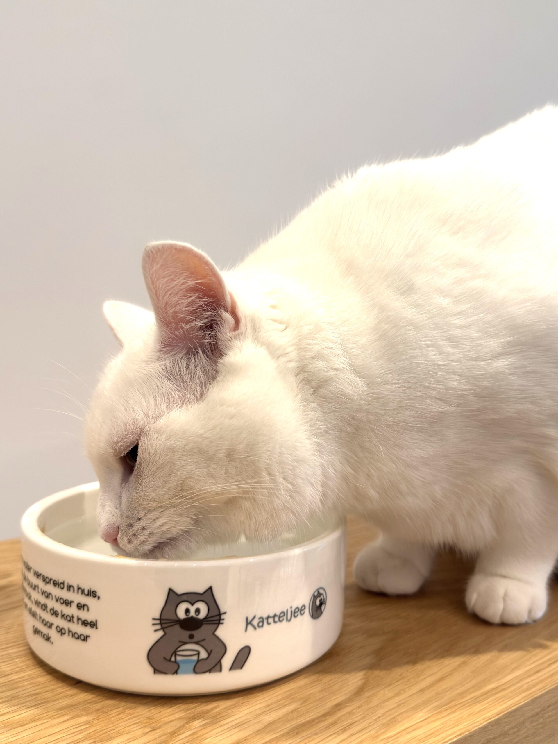 Kom - Waterkom - Afbeelding 4