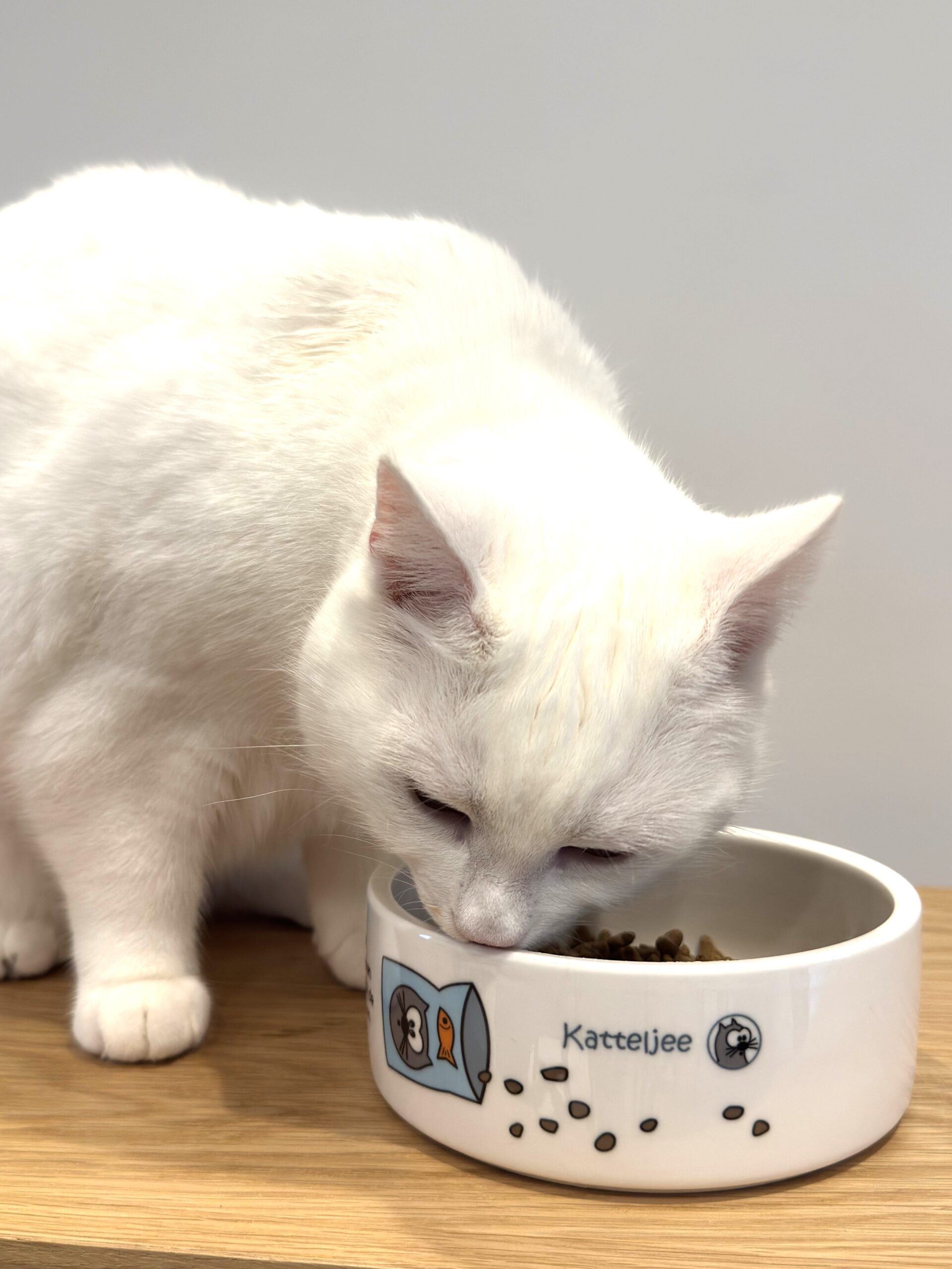 Kom - Eetkom - Afbeelding 4