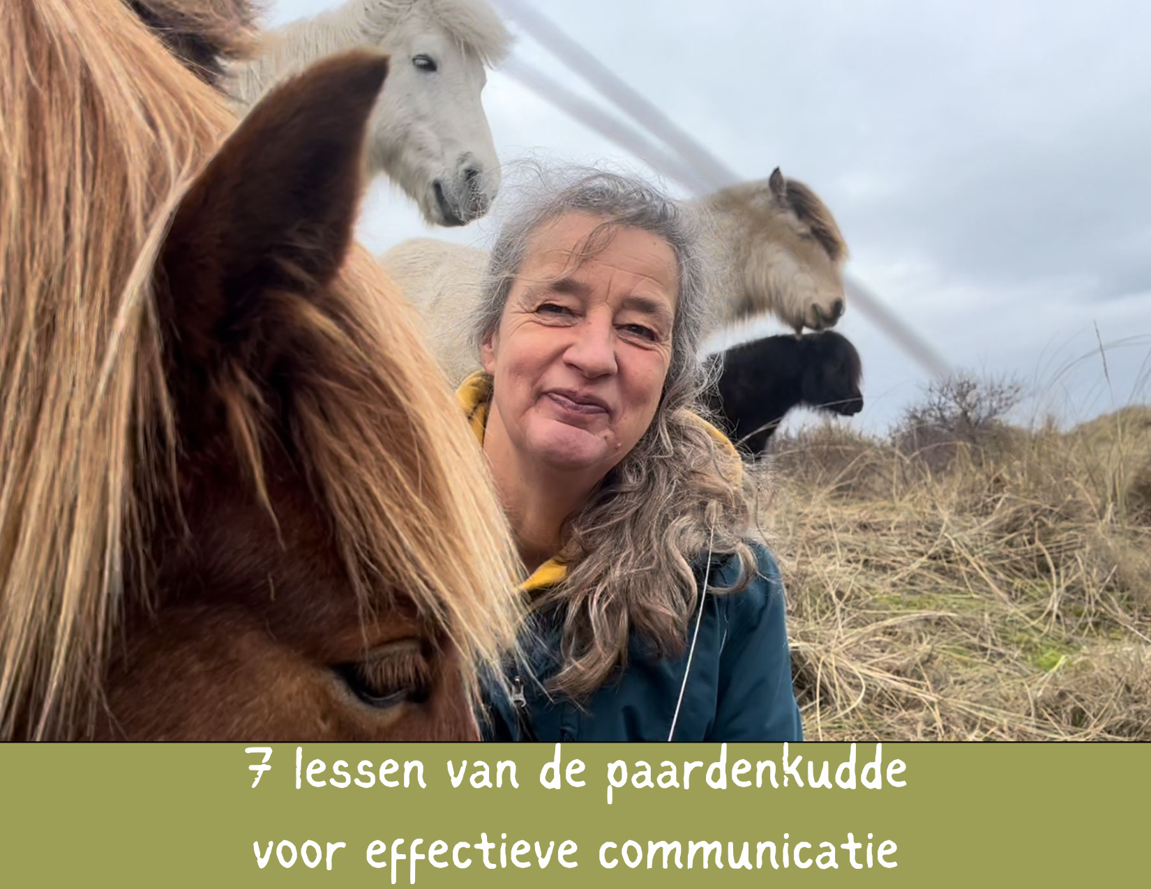 Jaeike naast Machus op Terschelling. 7 Lessen van de paardenkudde voor effectieve communicatie