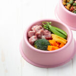 Brok vs vers; waarom is de dierenarts tegen vers?