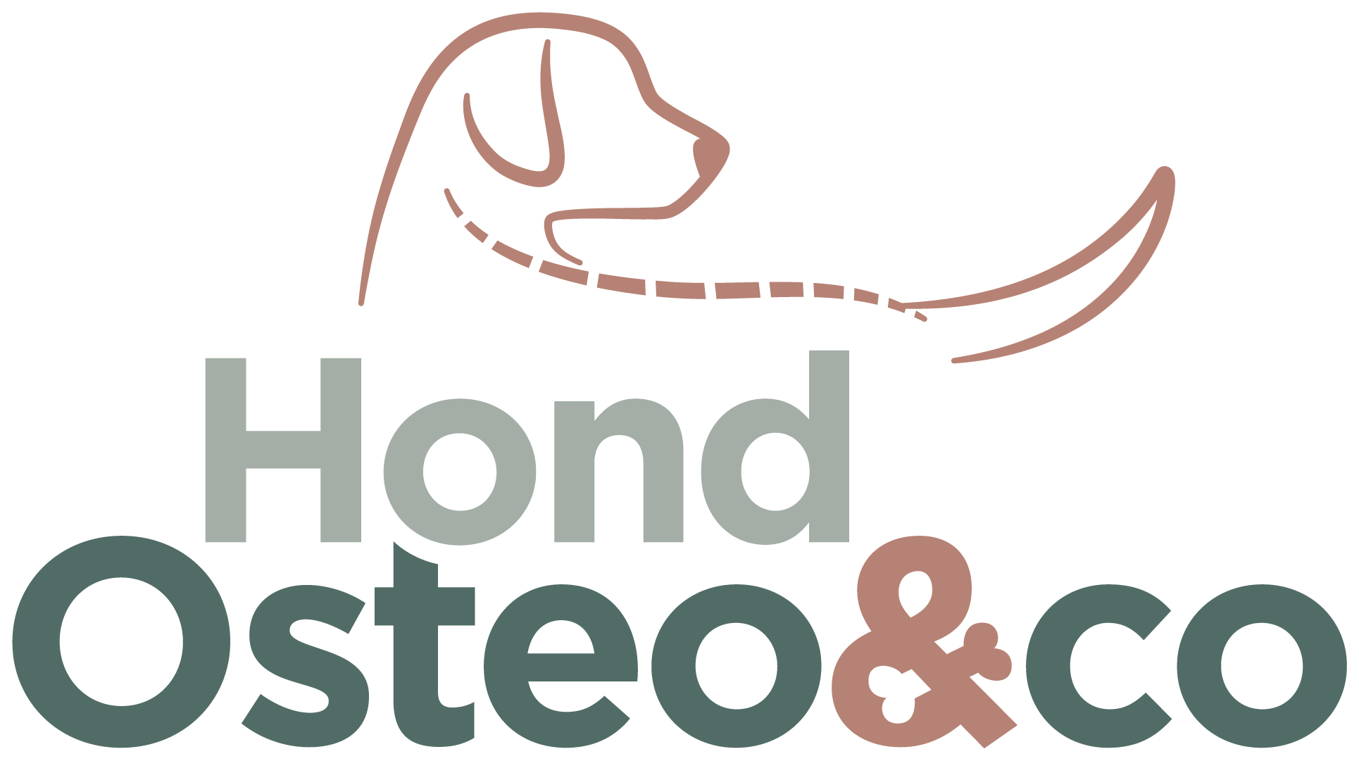 HondOsteo&Co