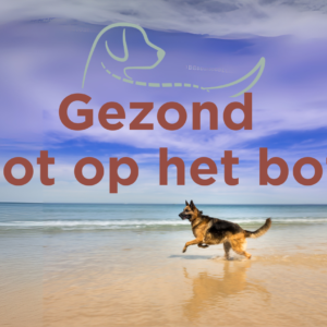 Gezond tot op het bot