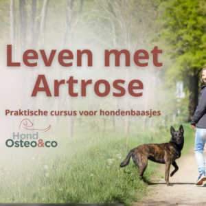 leven met artrose