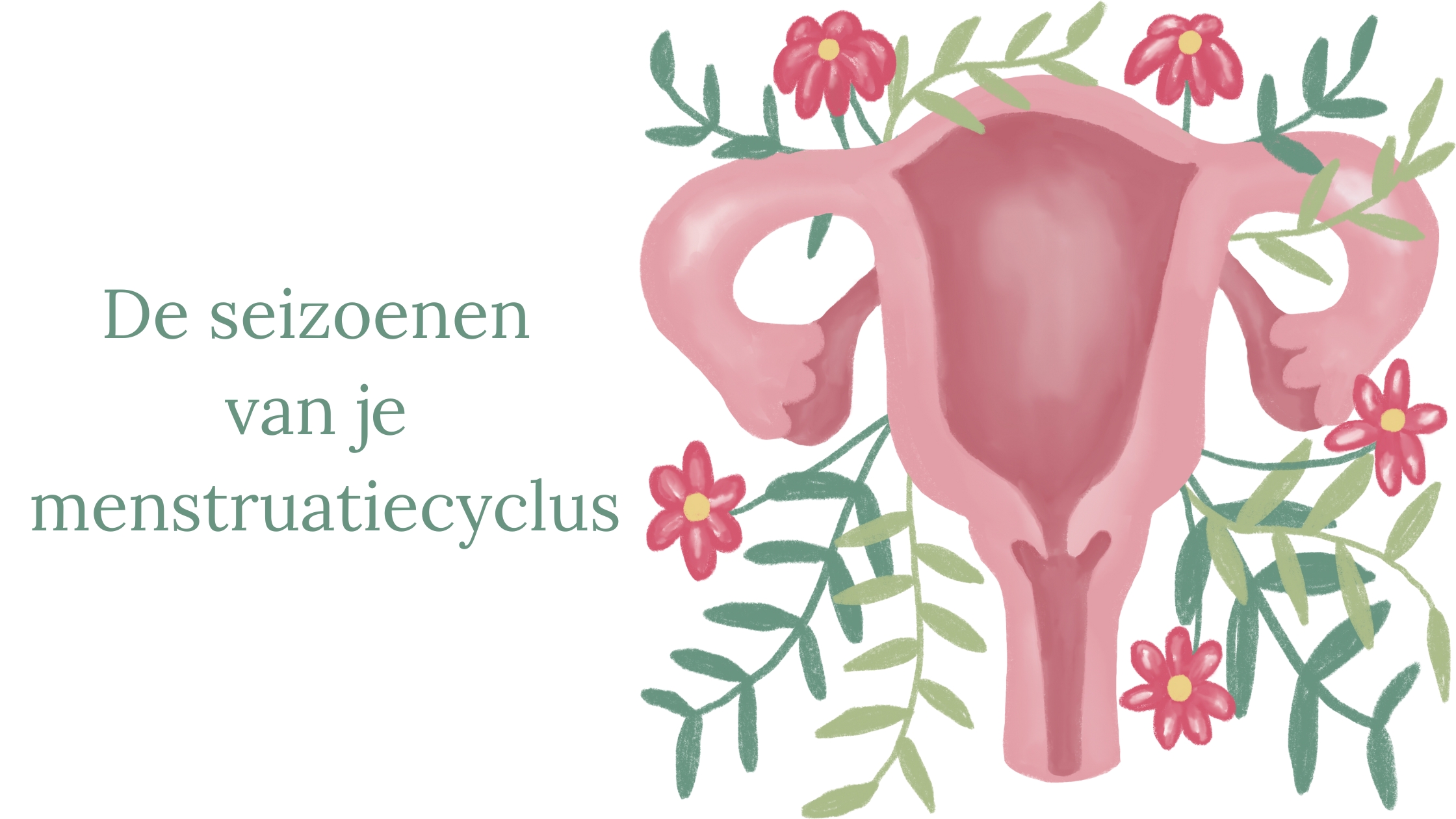 cyclus seizoenen