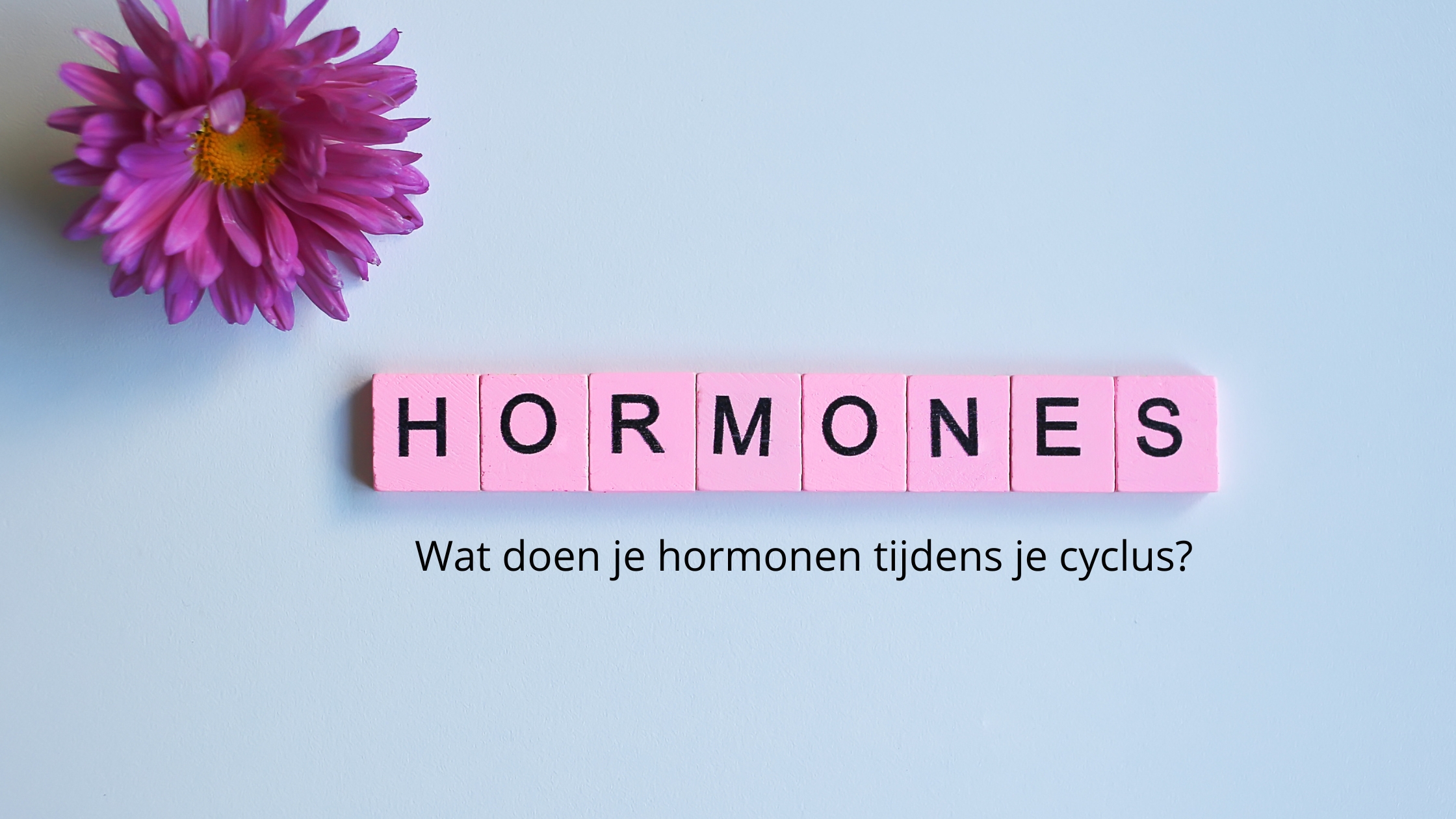 hormonen cylcus