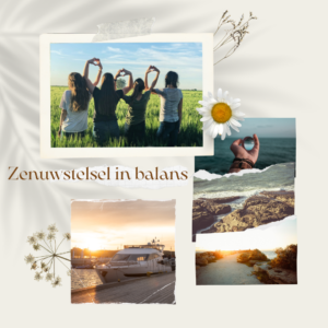Zenuwstelsel in balans - Thuiskomen bij jezelf