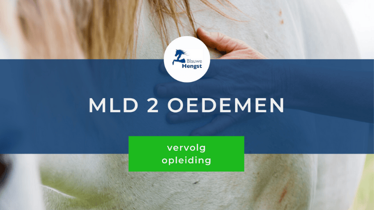 Cursusafbeelding MLD 2 oedemen cursus Blauwe Hengst