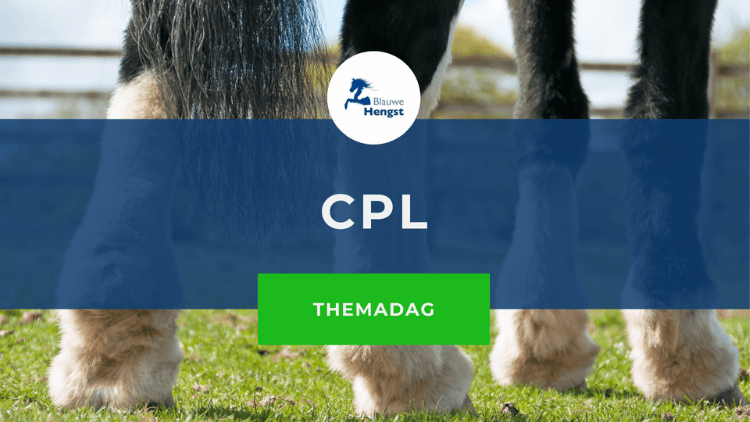 Afbeelding bij online cursus over CPL bij paarden door BlauweHengst