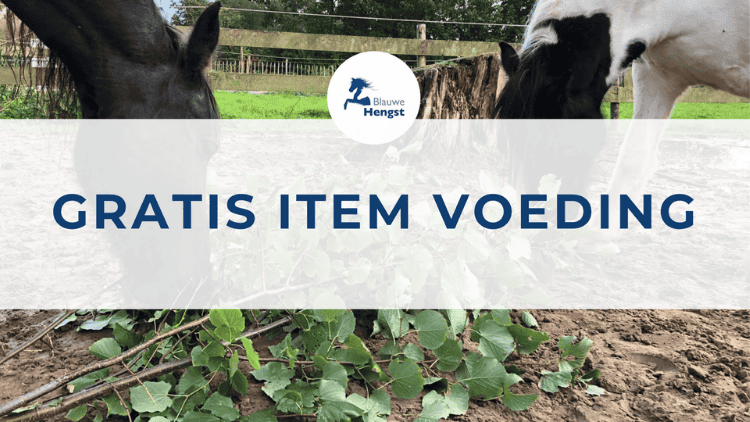 Afbeelding bij gratis online cursus over voeding voor paarden