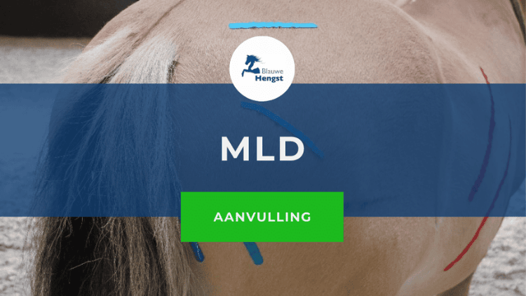 Afbeelding bij online cursus aanvullende videos MLD na dag 5