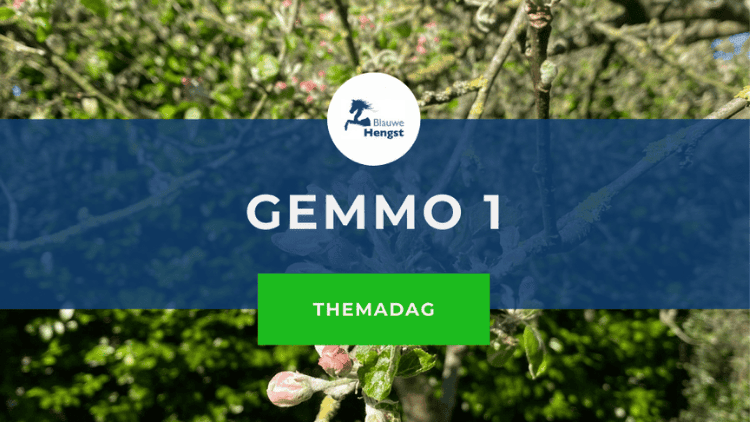 Afbeelding bij online cursus Gemmo Therapie voor paarden door Blauwe Hengst