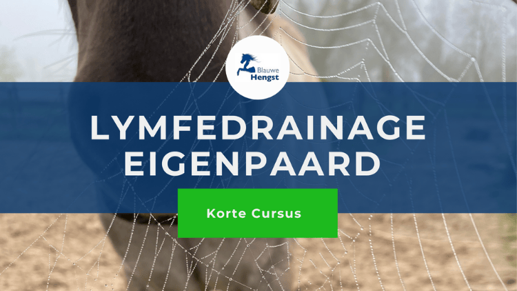 Cursusafbeelding korte cursus MLD eigen paard