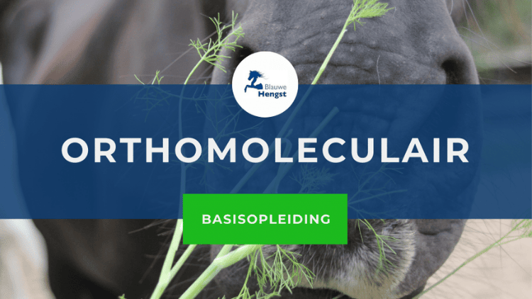 Afbeelding bij online cursus Orthomoleculaire basisopleiding van de Blauwe Hengst Studiestal