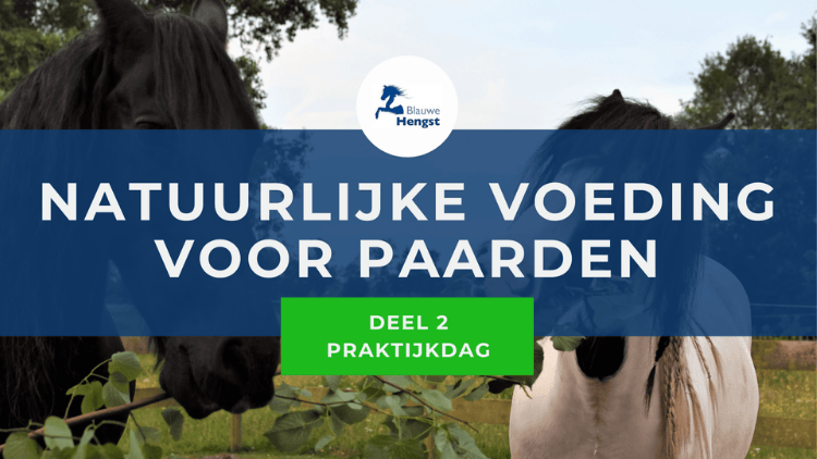 Afbeelding voor online cursus Praktijkdag natuurlijke voeding voor paarden door de Blauwe Hengst Studiestal